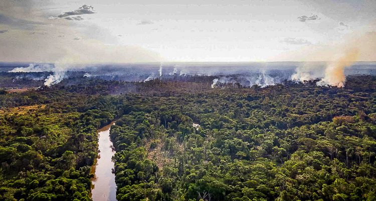 As queimadas iniciadas no início do mês de setembro, atingiram fortemente a aldeia Ka’a kyr, na Terra Indígena Alto Rio Guamá. (Foto: Cícero Pedrosa Neto/Amazônia Real-26/09/2020)